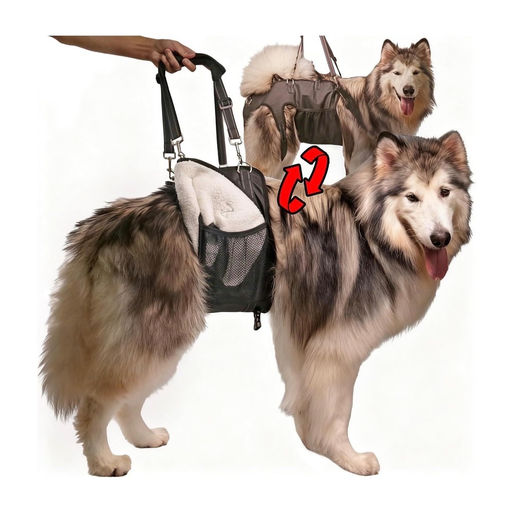 Dual-use Dog Lift Rehab Harness Canine Sling Rear Leg Hip Support Medium Black